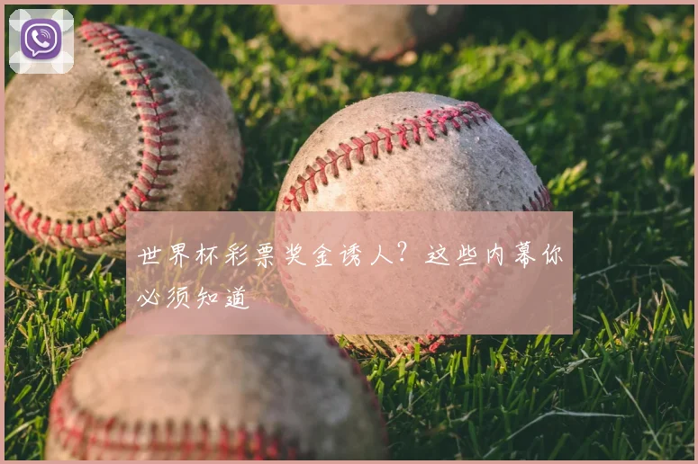 世界杯彩票奖金诱人?这些内幕你必须知道