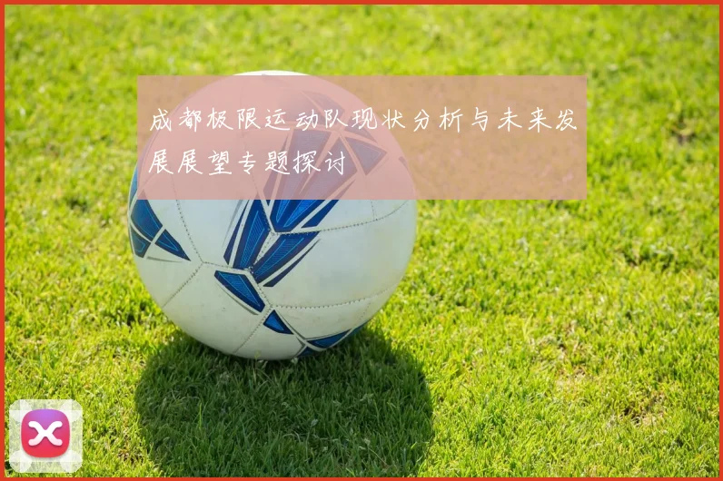 成都极限运动队现状分析与未来发展展望专题探讨