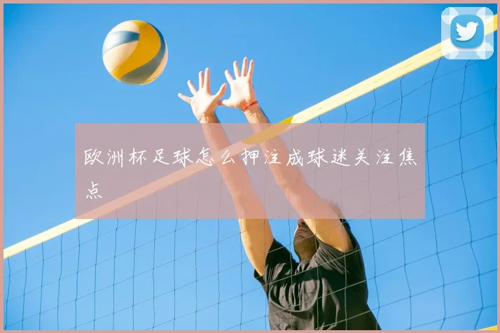 欧洲杯足球怎么押注成球迷关注焦点