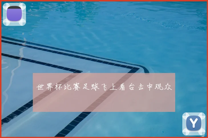 世界杯比赛足球飞上看台击中观众