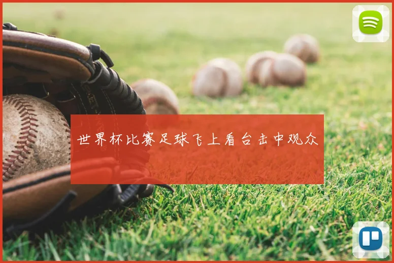 世界杯比赛足球飞上看台击中观众
