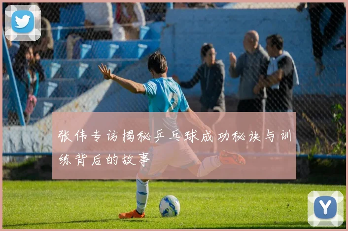 张伟专访揭秘乒乓球成功秘诀与训练背后的故事