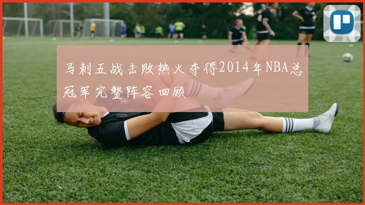 马刺五战击败热火夺得2014年NBA总冠军完整阵容回顾