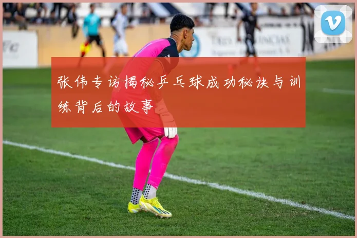 张伟专访揭秘乒乓球成功秘诀与训练背后的故事