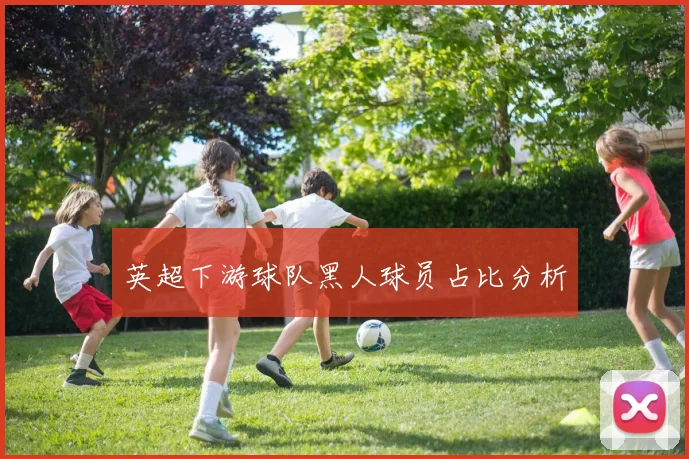 英超下游球队黑人球员占比分析