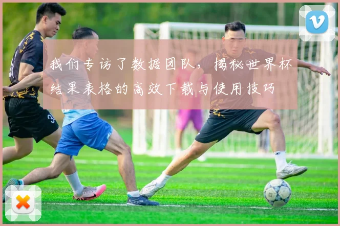 我们专访了数据团队,揭秘世界杯结果表格的高效下载与使用技巧