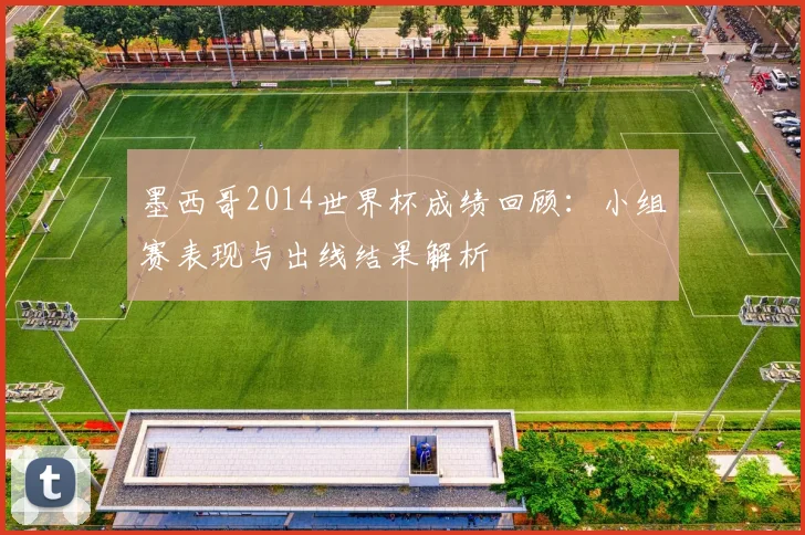 墨西哥2014世界杯成绩回顾:小组赛表现与出线结果解析