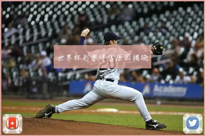 世界杯彩票停售原因揭晓