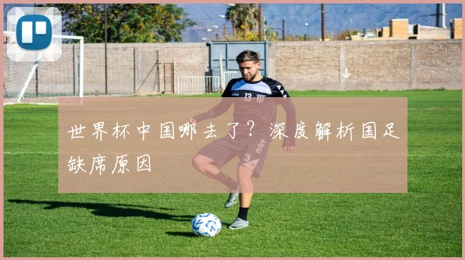 世界杯中国哪去了?深度解析国足缺席原因
