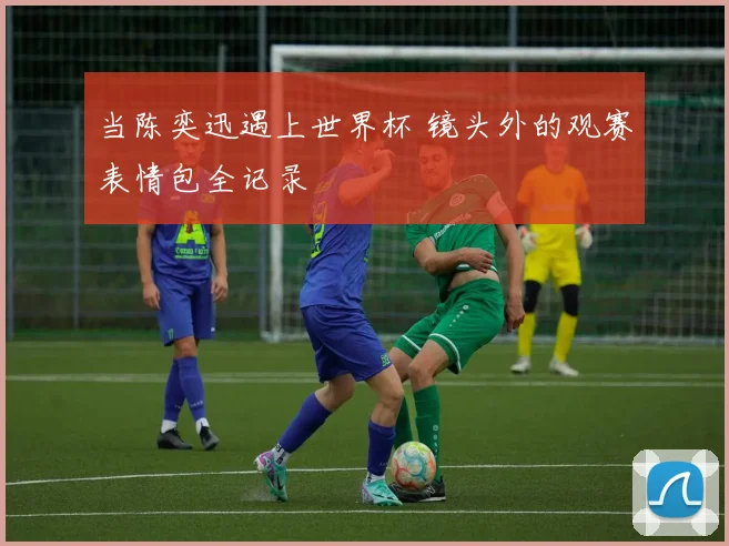 当陈奕迅遇上世界杯 镜头外的观赛表情包全记录