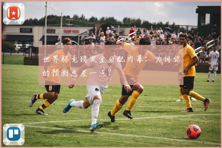 世界杯竞猜奖金分配内幕:为何你的预测总差一点?