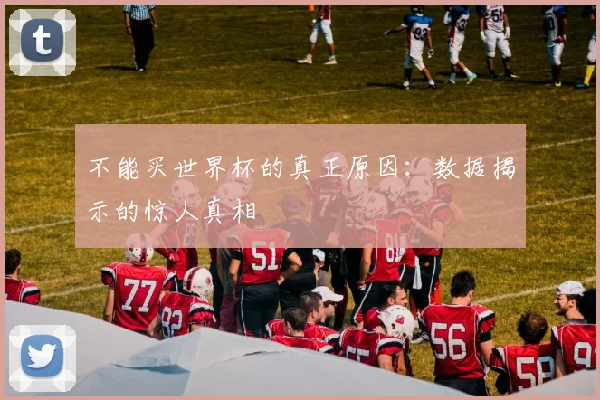 不能买世界杯的真正原因:数据揭示的惊人真相