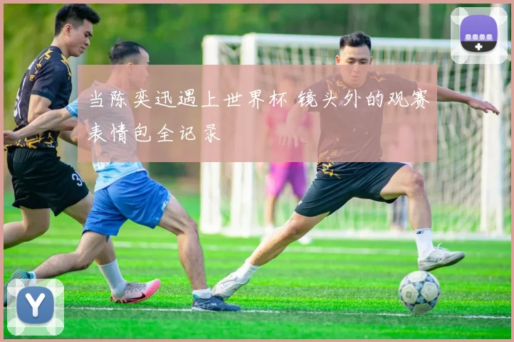 当陈奕迅遇上世界杯 镜头外的观赛表情包全记录