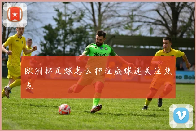 欧洲杯足球怎么押注成球迷关注焦点