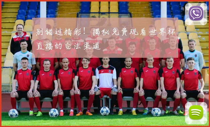 别错过精彩！揭秘免费观看世界杯直播的合法渠道