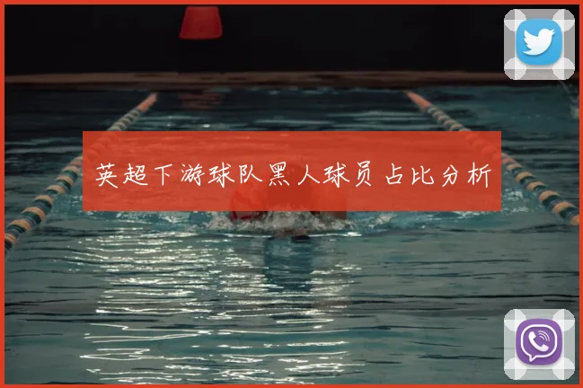 英超下游球队黑人球员占比分析